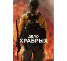 Дело храбрых (2017)