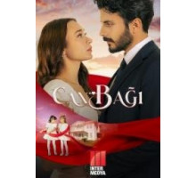 Струны души сериал 