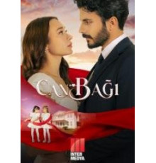 Струны души сериал 